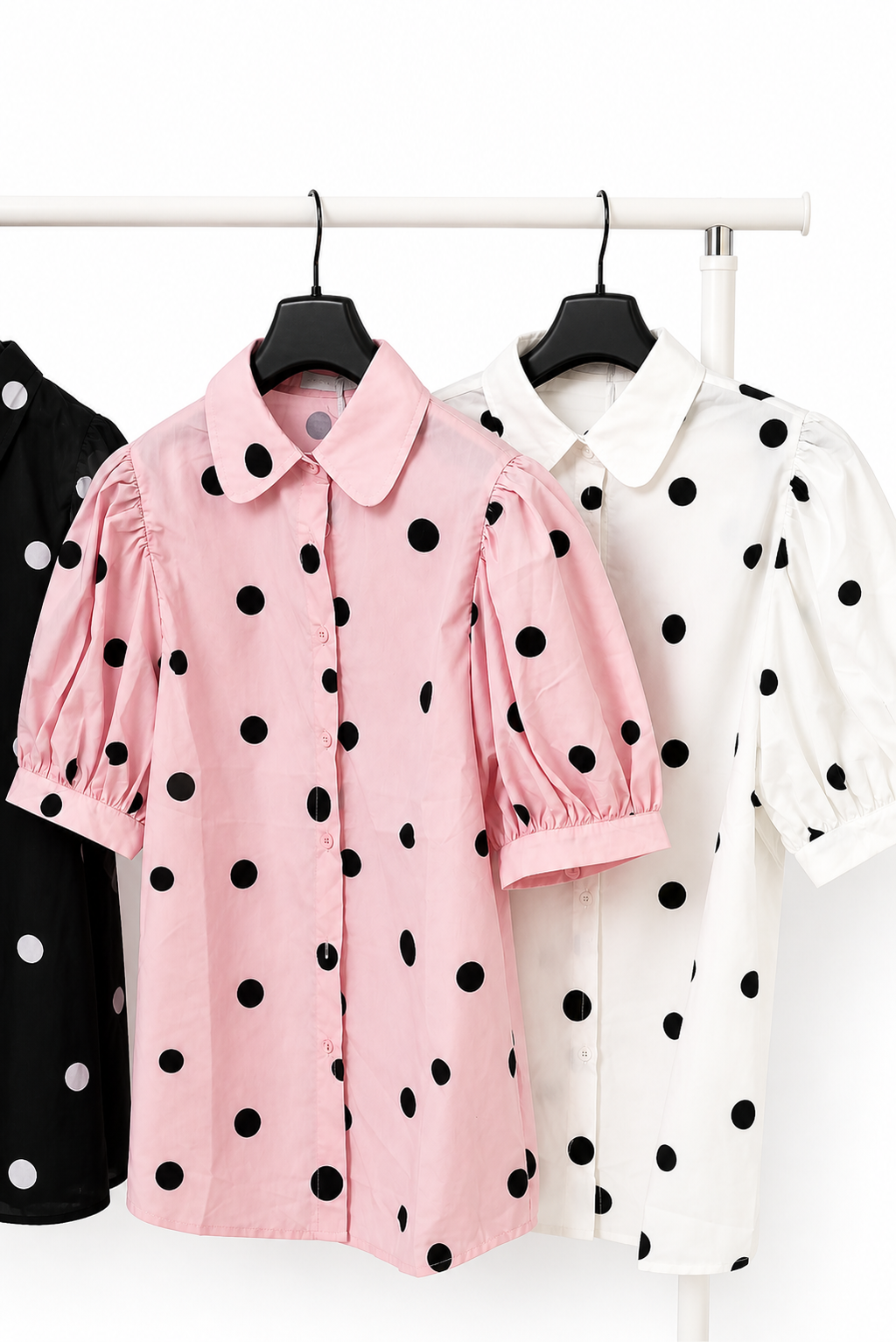 MODELLO ZEBRA POIS