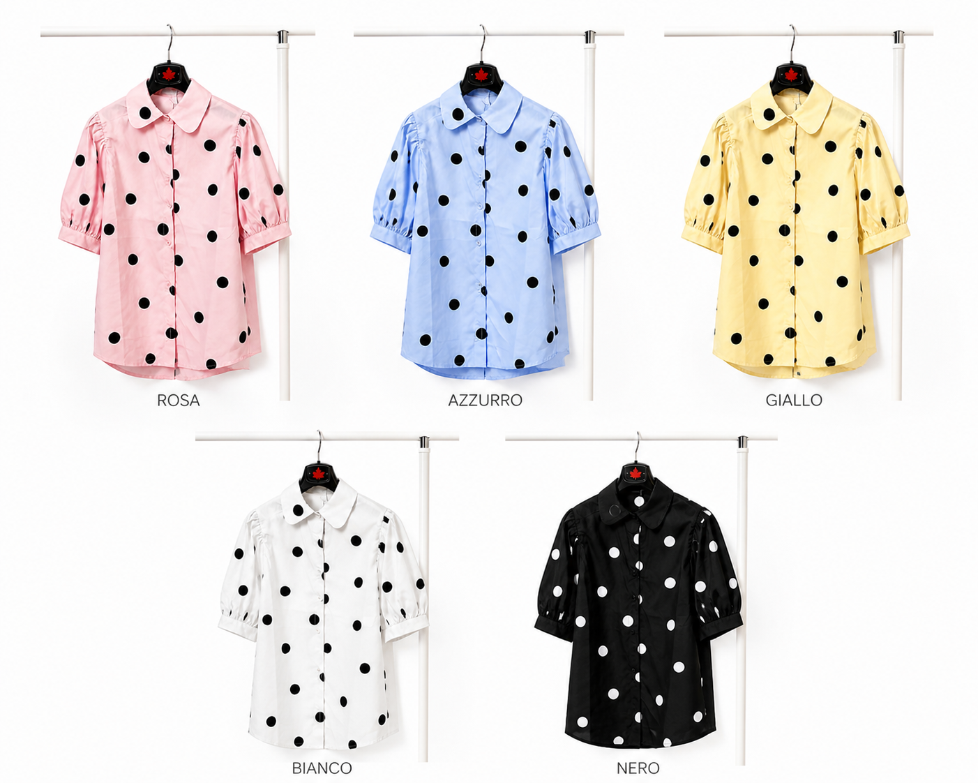 MODELLO ZEBRA POIS